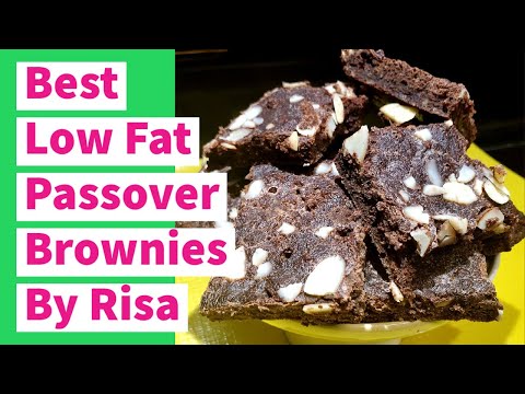 The Best Low Fat Passover Brownies By Risa!