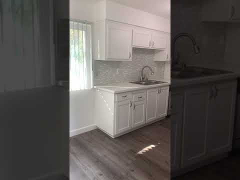 Vivleo - Video 2 of 2