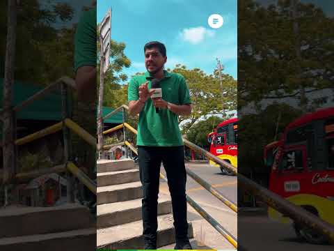 Sabanagrande bajo alerta: cinco homicidios en ocho días generan temor 🚨