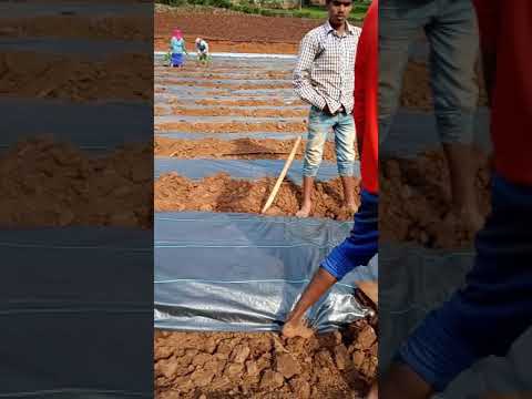 Hdpe green house net, packaging type: roll, shape: crop supp...