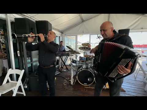 Makedonski Instrumentali - DESPINA BAND - Macedonian Instrumentals