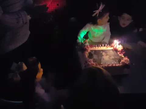 Brenna's birthday cake 12/11/16