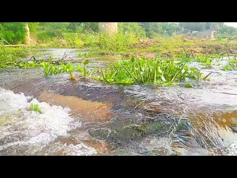VEJAM A SITUAÇÃO DO RIO SALGADO HOJE 