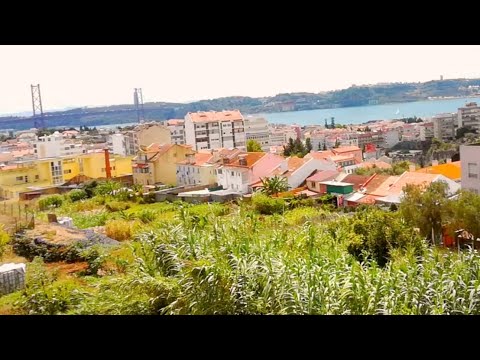 download lagu mp3 mp4 Casalinho Da Ajuda, download lagu Casalinho Da Ajuda gratis, unduh video klip Download Casalinho Da Ajuda Mp3 dan Mp4 Viral Gratis