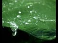 Best Rain Video | Natural Videos | Rain Video Clips Best Rain Video | Natural Videos | Rain Video Clips