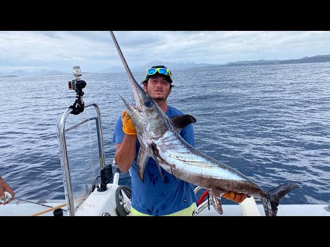 Traina col vivo: DUELLO DI SPADE