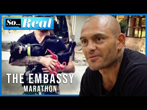 Bodybuilders, Missing Wives and Trouble Clubbing! | Season 2 | Full Episodes 1 - 4 | The Embassy