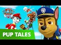 PAW Patrol Pups Save The Kitty Rescue Crew Rescue Episode PAW Patrol Official Friends