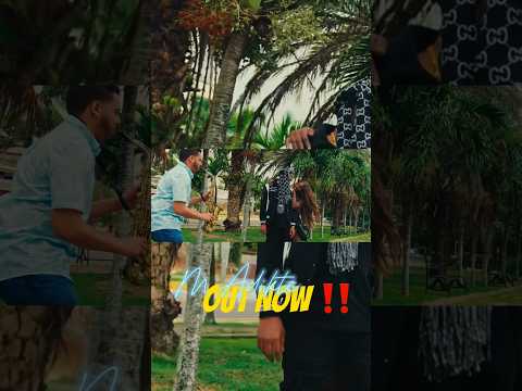 M Adikte 😍😫Out Now ‼️ #citizenschraider #afrobeat #bts #officialmusicvideo