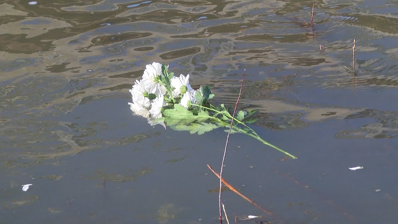 10 години от трагедията в село Бисер