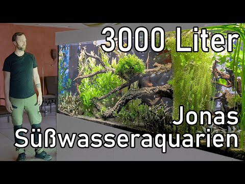 Jonas XXL Aquariums | Professional Aquarium and Care Tour (Freshwater)