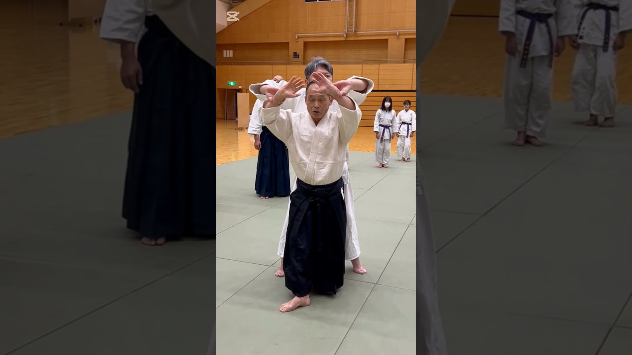 後両手持ちの振りかぶり方 #aikido #合気道 #martialarts