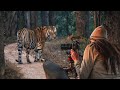Insane India Tiger Safari In Kanha You Won T Believe What We Saw
