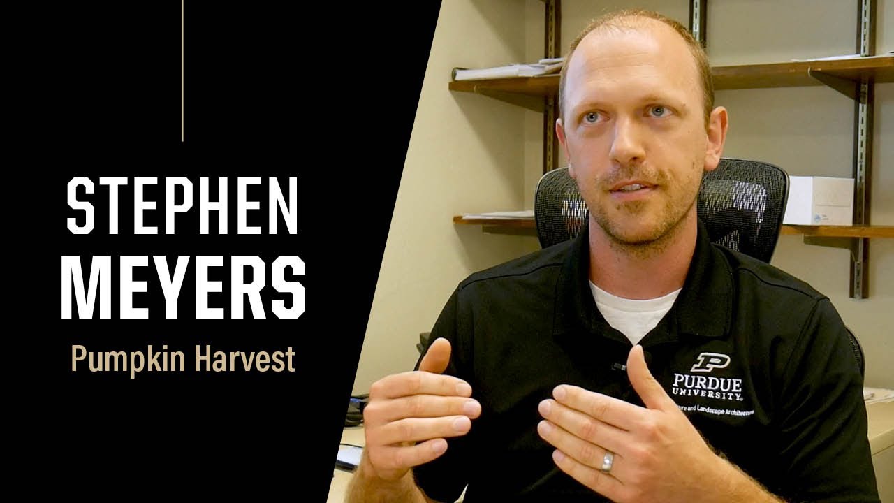 Purdue Expert: 2022 Pumpkin Harvest