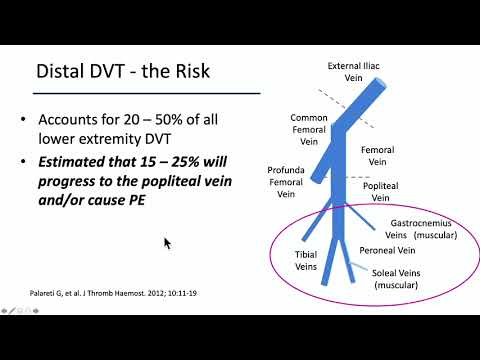 2025 Noninvasive Vascular Imaging