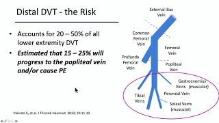 2025 Noninvasive Vascular Imaging