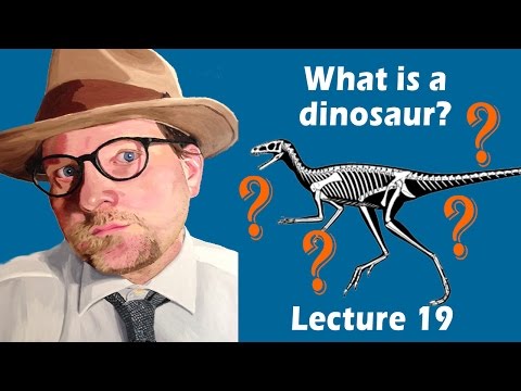 What is a dinosaur?