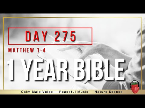 Day 275 | Matthew Chapters 1-4 | NIV | One Year Bible