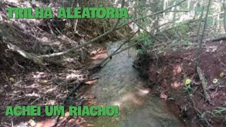 CAMINHADA E TRILHA ALEATRIA PELA MATA - ACHEI UM RIACHO. | Na Trilha.
