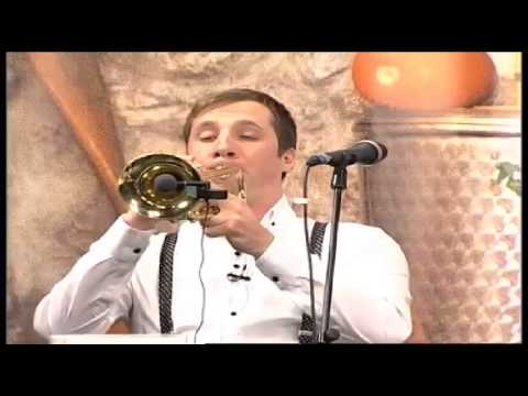 BRKINSKI TRIO- DIŠALI SO TVOJI LASJE (v živo)