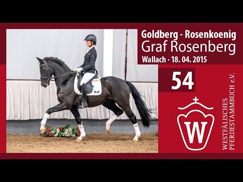 54 Graf Rosenberg Hengst v. Goldberg - Rosenkoenig