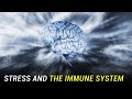 Stress Weakens Your Immune System