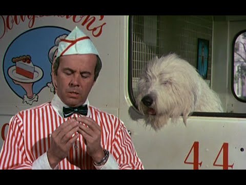 "The Good, the Bad and the Funny" (Walt Disney's The Shaggy D.A. Bonus Content)