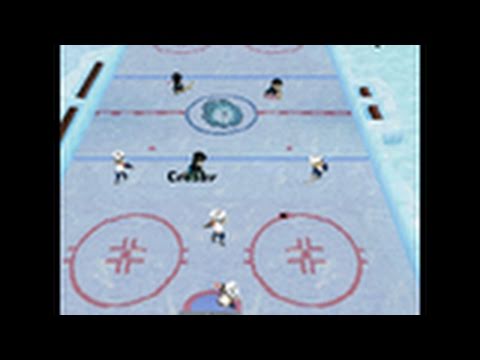 backyard hockey nintendo ds game