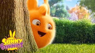 Download lagu Catching Big Boo! - Sunny Bunnies | Season 2 Marathon | Funny Cartoons For Children mp3