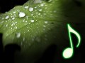 La gota de rocio - Silvio Rodriguez