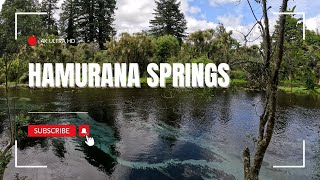 Hamurana Springs Nature Park - Rotorua - walkthrough 4k