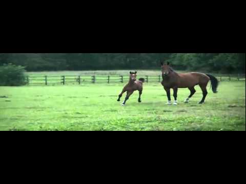 Caretana piquete Alemanha