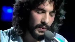 Cat Stevens - How Can I Tell You - 1970 Live Performance