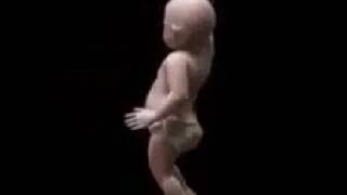 Download lagu Tuyul joget jaran goyang mp3