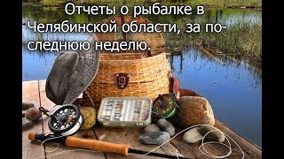 Отчет о рыбалке в челябинской области