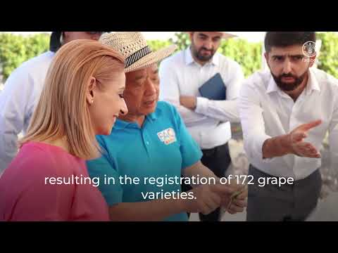 FAO in Armenia: Advancing Agrifood Systems for a Sustainable and Resilient Future