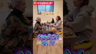FX初心者向け｜ロットとピップスとは？基礎をわかりやすく解説