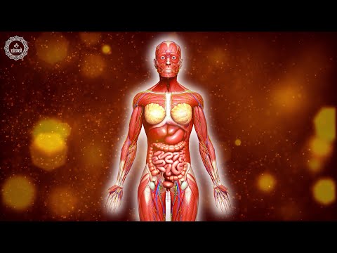 Heal Damage To The Stomach | Speed Up Your Digestion & Metabolism | Get Rid Of Stomach Pain | 741hz
