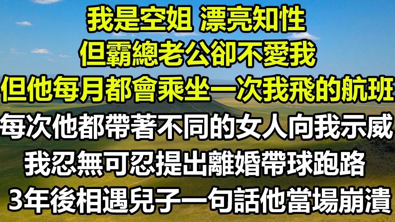 我是空姐，漂亮知性，但霸總老公卻不愛我，但他每月都會乘坐一次我飛的航班，每次他都帶著不同的女人 向我示威，我忍無可忍提出離婚帶球跑路，3年後相遇兒子一句話他當場崩潰#狸貓說故事 #心書時光 #霸總