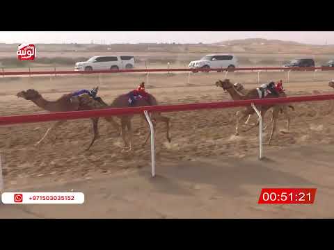 ش 20 (شاهين) لـ عمر البشير الصديق 2:13 , شارة الصندوق 2026/03/21 فطامين الجبيب