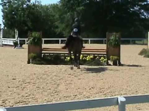 Bacardi- Country Heir,KY 3'0 pregreen 2012