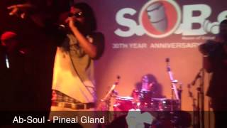 Ab-Soul Live At SOB's Terrorist Threats - Pineal Gland - Lust Demons