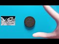 OREO Wonder Flavors Has Sparta Remix