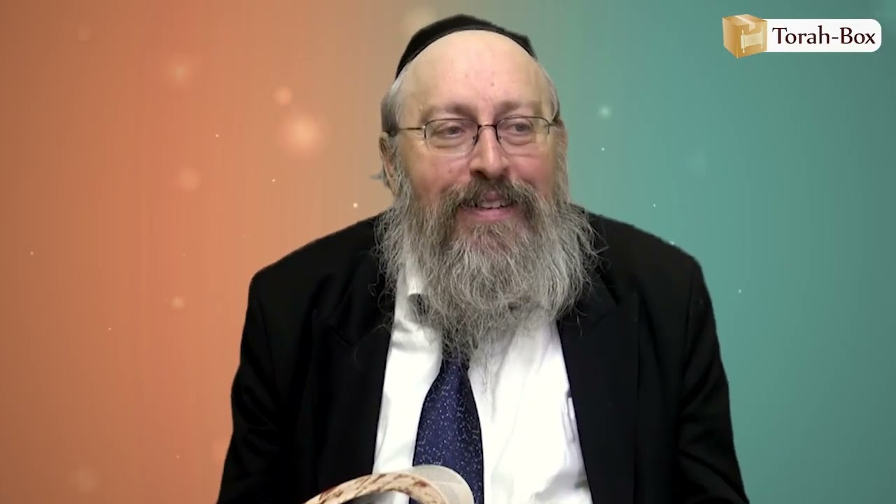 POURQUOI DIEU PRÉFÈRE LES HUMBLES ? (Rav Shlomo Cohen - Paracha Noa'h)