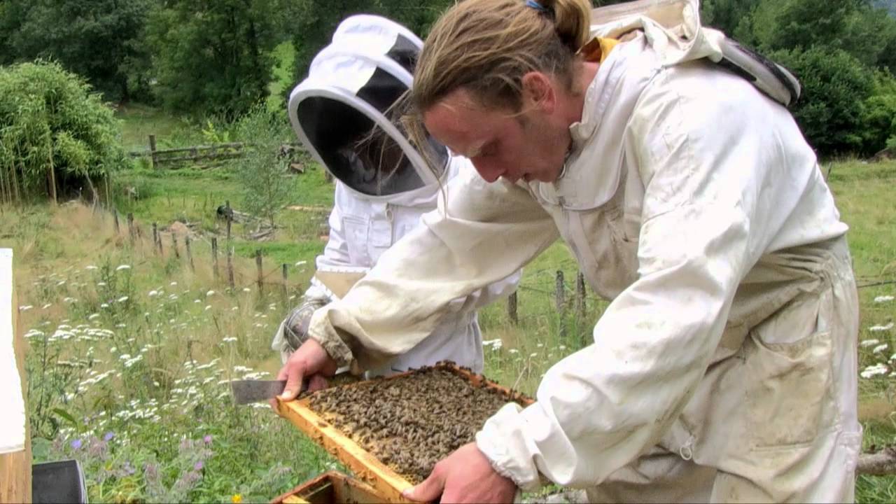 Julien, apiculteur en Ariège