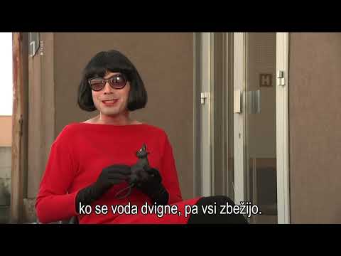 KAJ DOGAJA - GLAS LJUDSTVA - SVETLANA M.