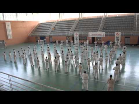 FKE Ent General Shinkyokushinkai - Oct. 2011