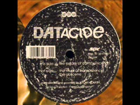 DATacide - The Ecstacy Of Communication (HARD ACID 93)
