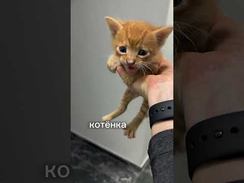 ДВАЖДЫ ПОПАЛА В ТУРЕЦКУЮ ЛОВУШКУ #замужзатурка #турецкаясемья #turkiye #мерсинтурциянедвижимость