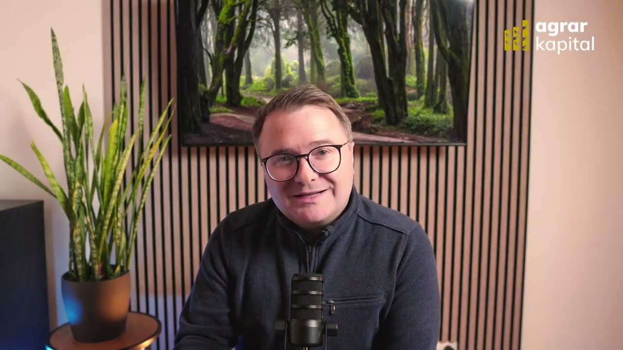 Wald verkaufen - Was ist mein Wald wert?